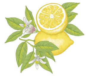 The Art of Lemons