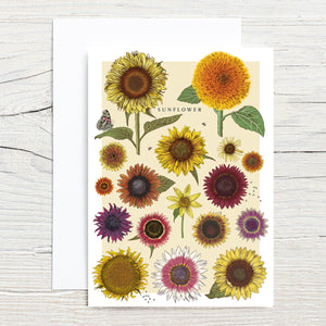 Sunflower Chart 5x7 Single Note Card