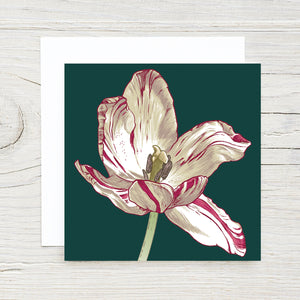 Open Tulip Gift Card