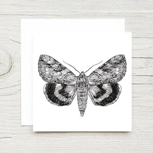 Moth Gift Card